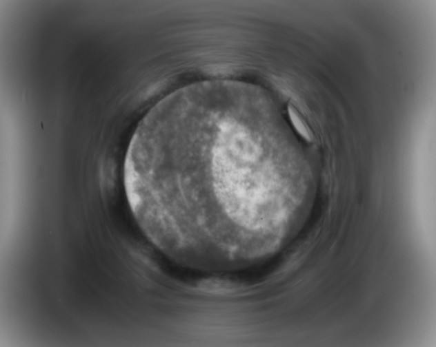 X0000083560211200703091623