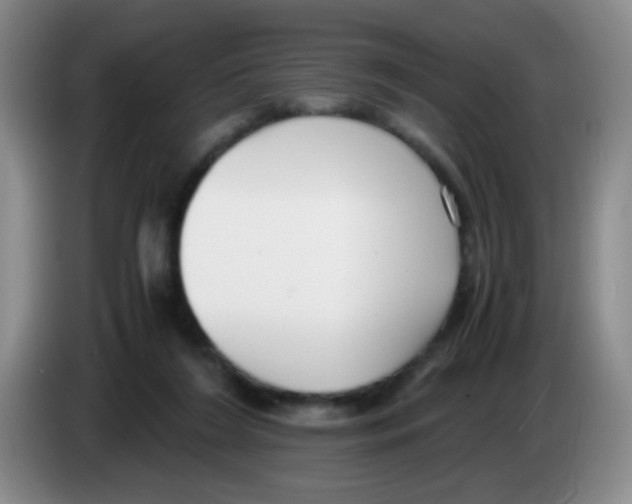 X0000083560212200703091623