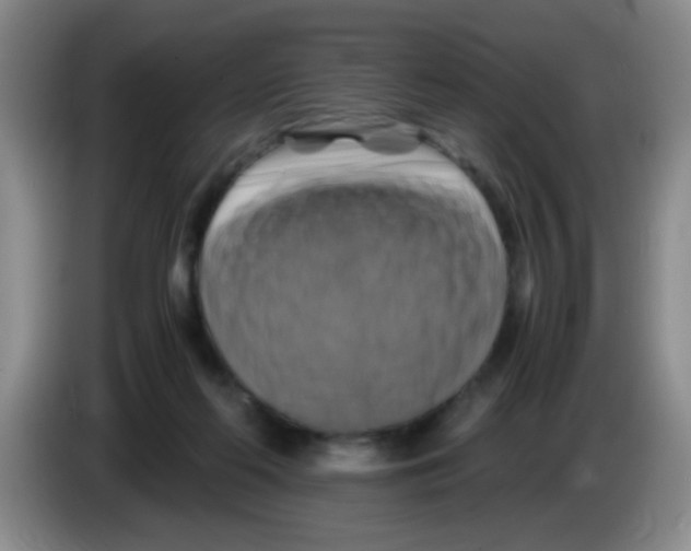 X0000083560214200703091623