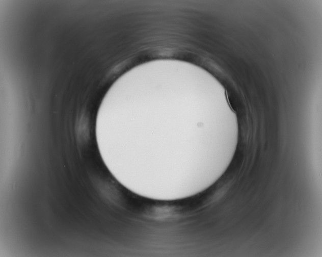 X0000083560216200703091623