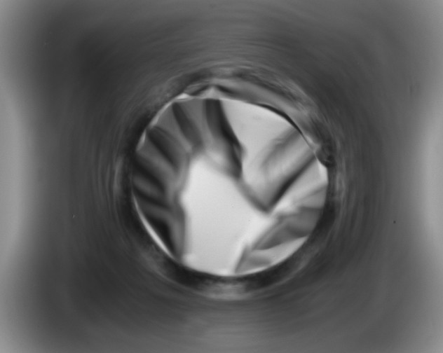 X0000083560217200703091623