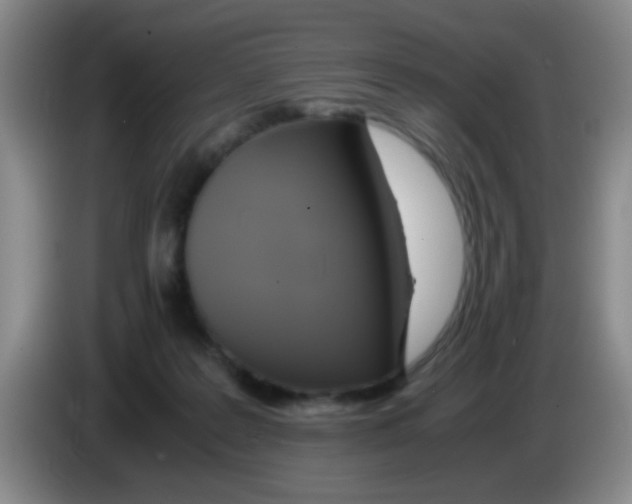 X0000083560219200703091623