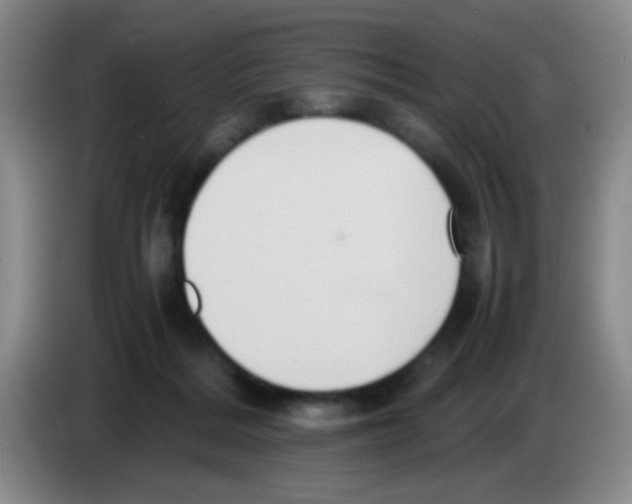 X0000083560220200703091623