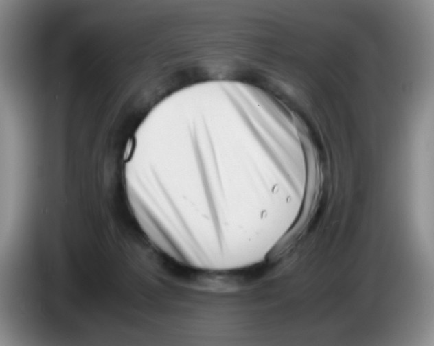 X0000083560221200703091623