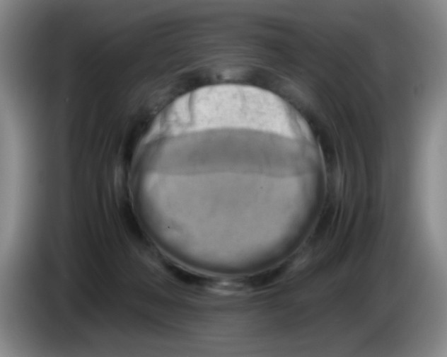 X0000083560222200703091623