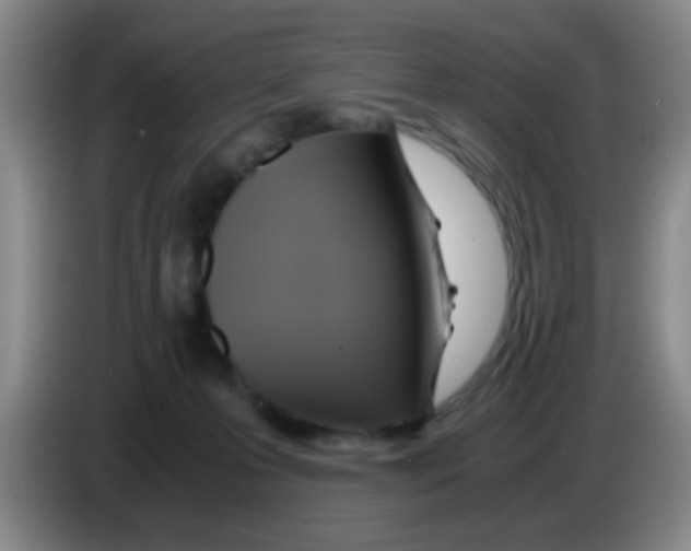 X0000083560223200703091623