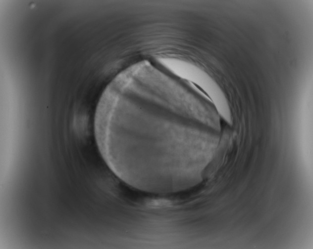 X0000083560224200703091623