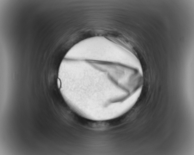 X0000083560225200703091623