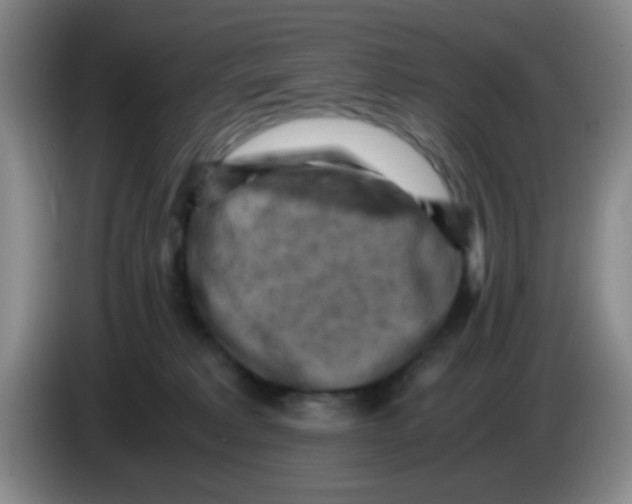 X0000083560229200703091623