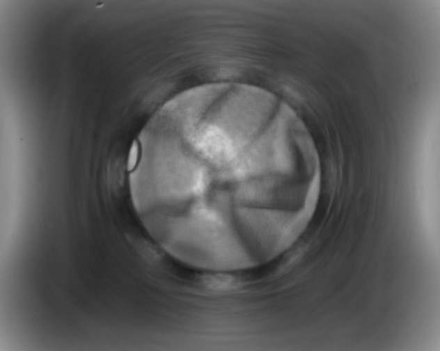 X0000083560230200703091623