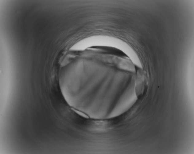 X0000083560233200703091623