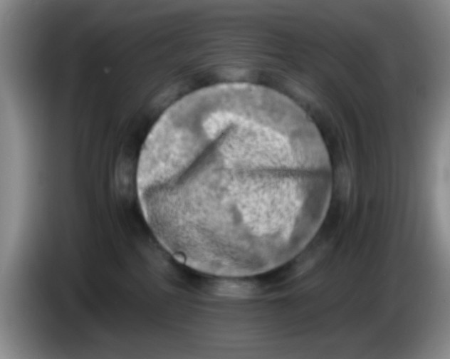 X0000083560234200703091623