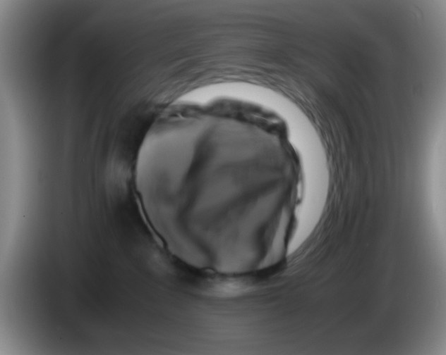 X0000083560235200703091623