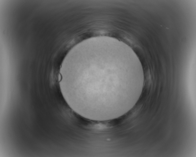 X0000083560236200703091623