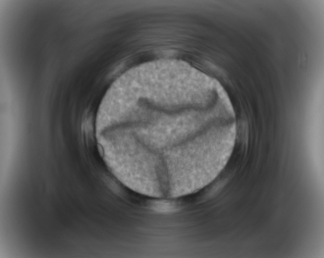 X0000083560238200703091623