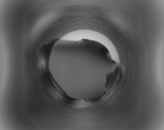 X0000083560239200703091623