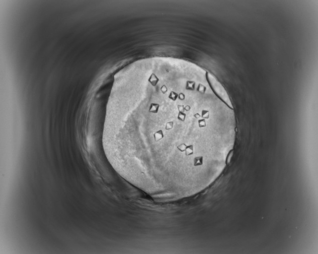 X0000083560241200703091622