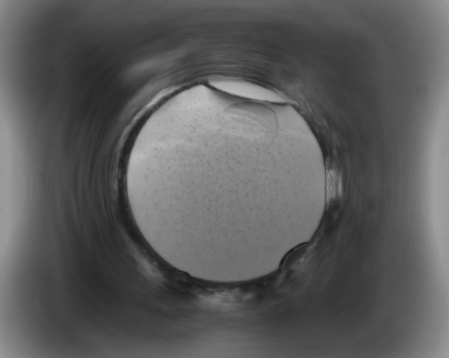 X0000083560243200703091622