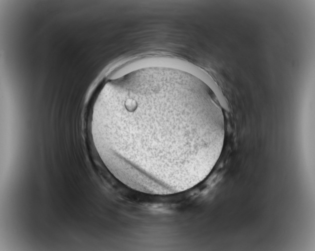 X0000083560244200703091622