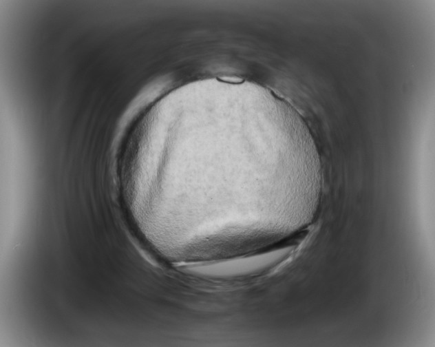 X0000083560245200703091622