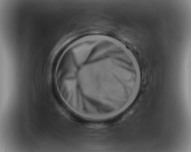 X0000083560247200703091622