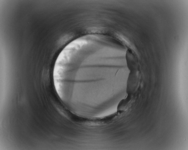 X0000083560250200703091622