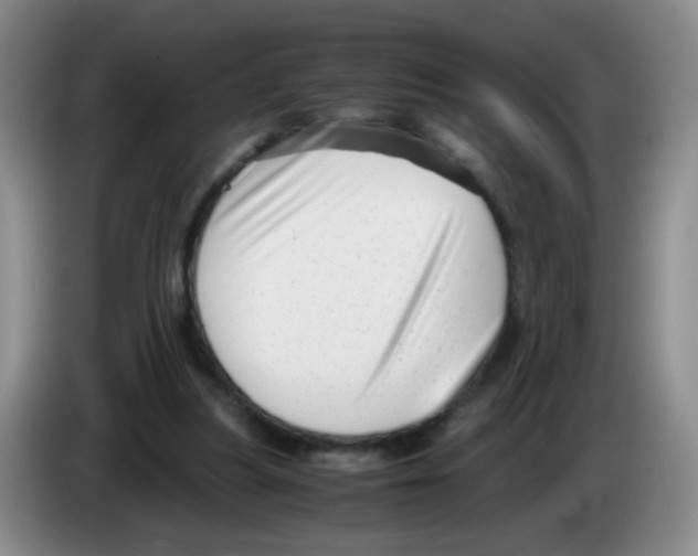 X0000083560251200703091622