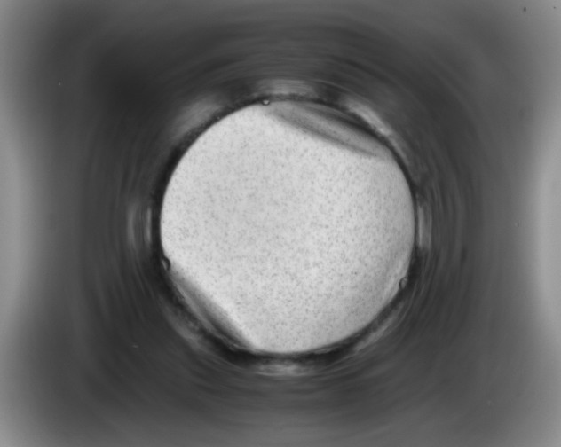 X0000083560253200703091622