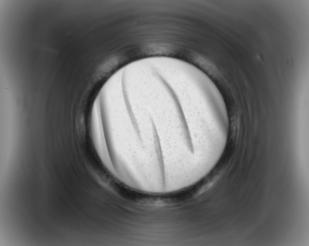 X0000083560254200703091622