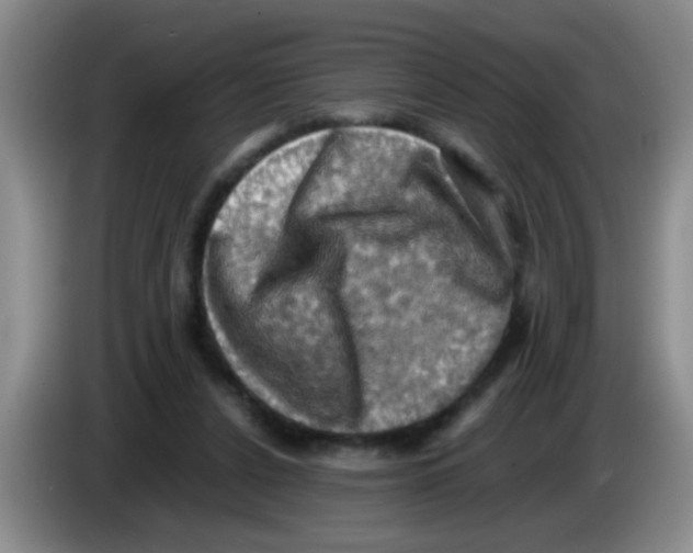 X0000083560256200703091622