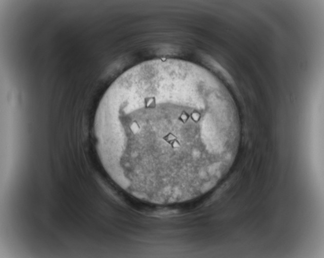 X0000083560257200703091622