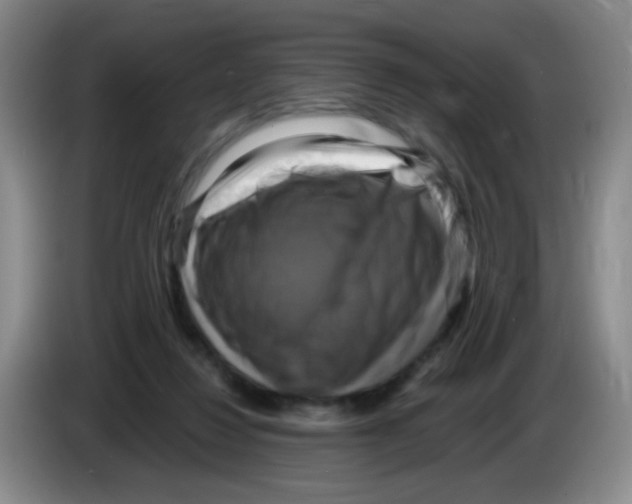 X0000083560260200703091622