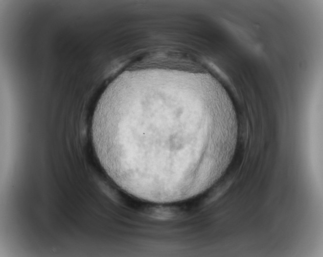 X0000083560261200703091622