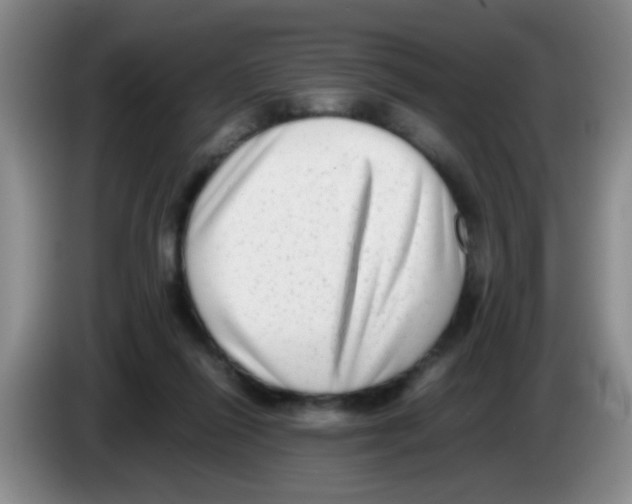 X0000083560262200703091622