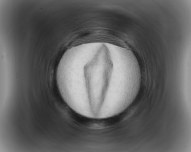 X0000083560263200703091623