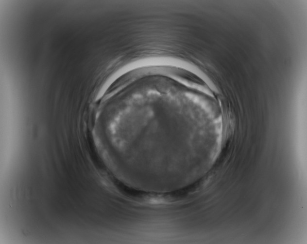 X0000083560264200703091623