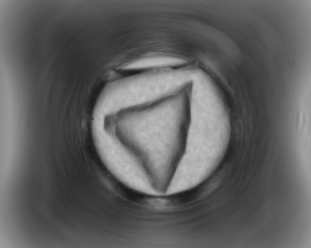 X0000083560265200703091623