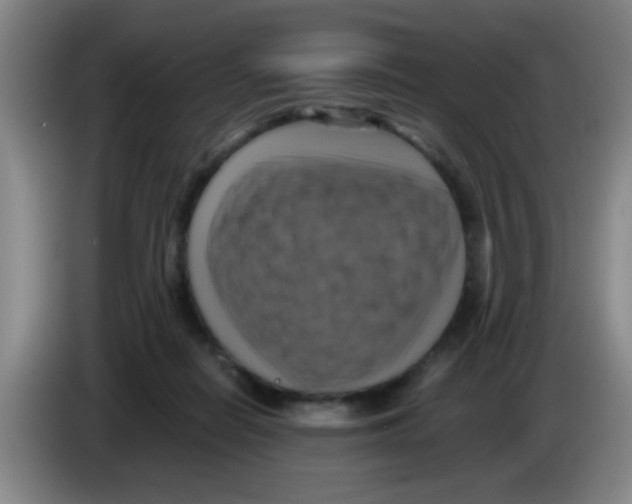 X0000083560266200703091623