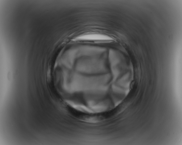 X0000083560267200703091623