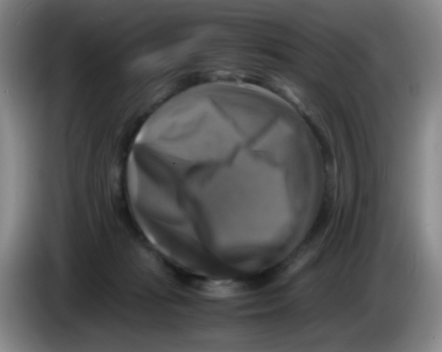 X0000083560269200703091623