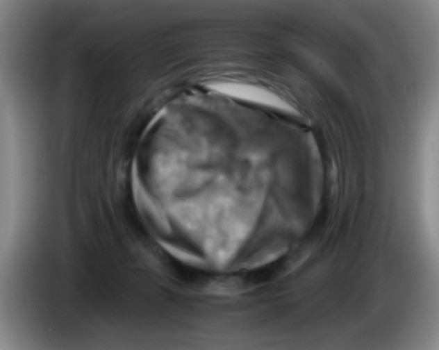 X0000083560271200703091623