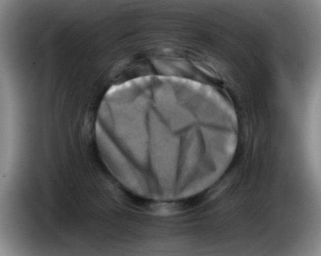 X0000083560273200703091623