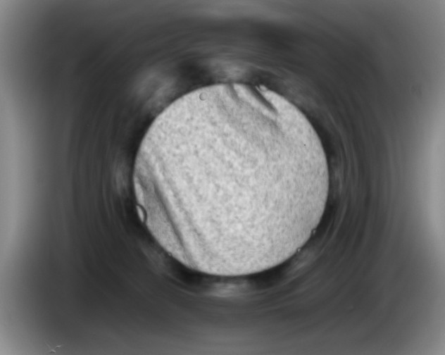 X0000083560274200703091623