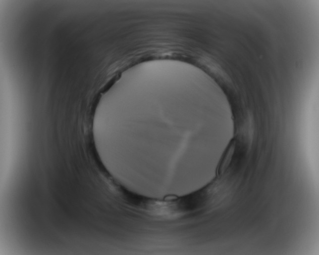 X0000083560277200703091623