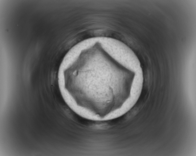 X0000083560278200703091623