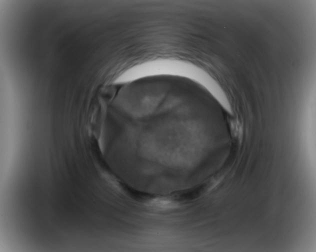 X0000083560280200703091623