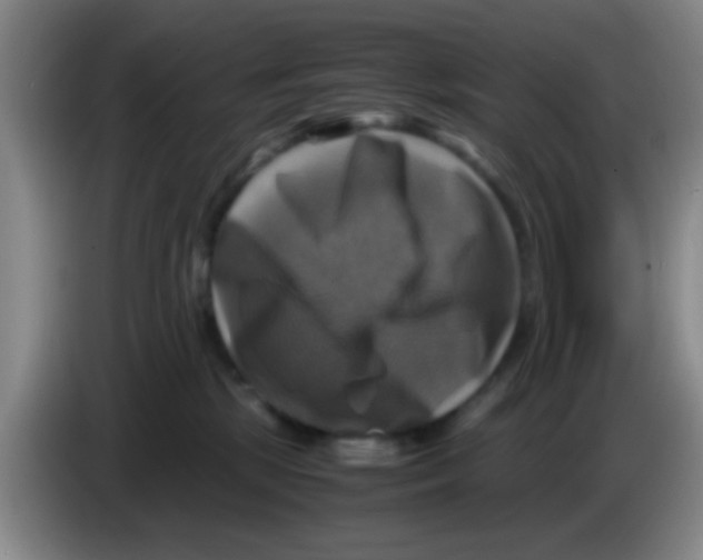 X0000083560281200703091623