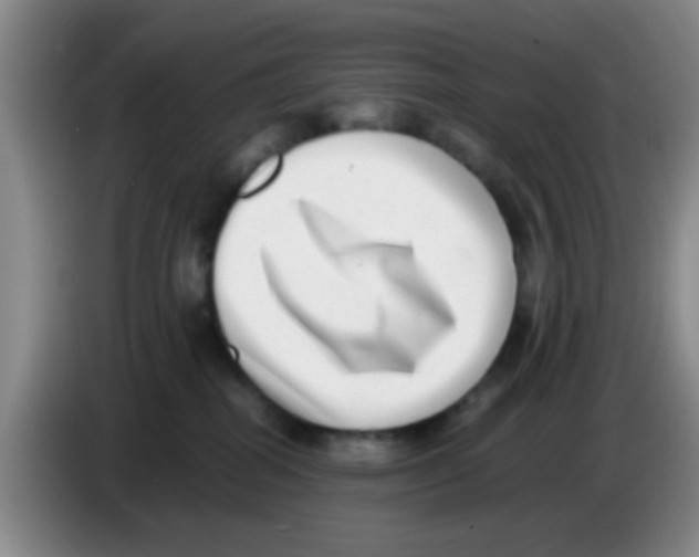 X0000083560282200703091623