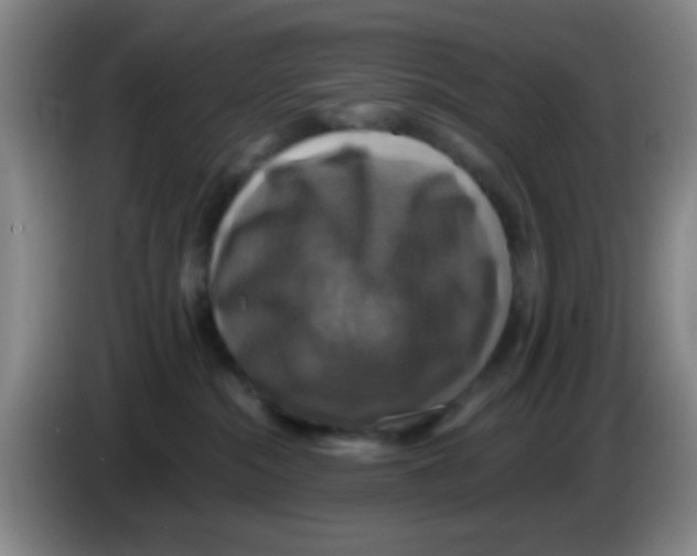 X0000083560284200703091623