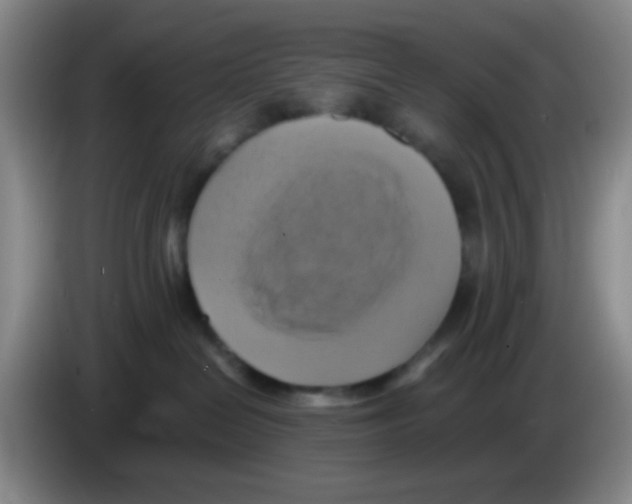 X0000083560286200703091623